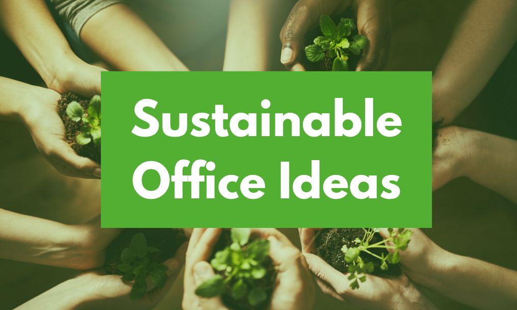 Tips For Designing a Sustainable Office
