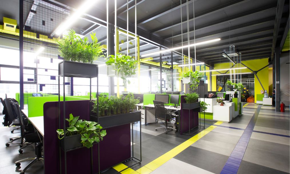 Green Walls - A Cool Design Accent For Offices With Personality